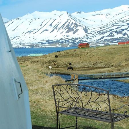 Sky Sighting Igluhus - Stay'In Arbakki Arskogssandur Dış mekan fotoğraf