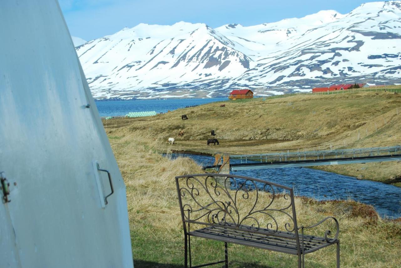 Sky Sighting Igluhus - Stay'In Arbakki Arskogssandur Dış mekan fotoğraf