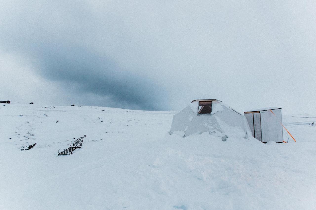 Sky Sighting Igluhus - Stay'In Arbakki Arskogssandur Dış mekan fotoğraf